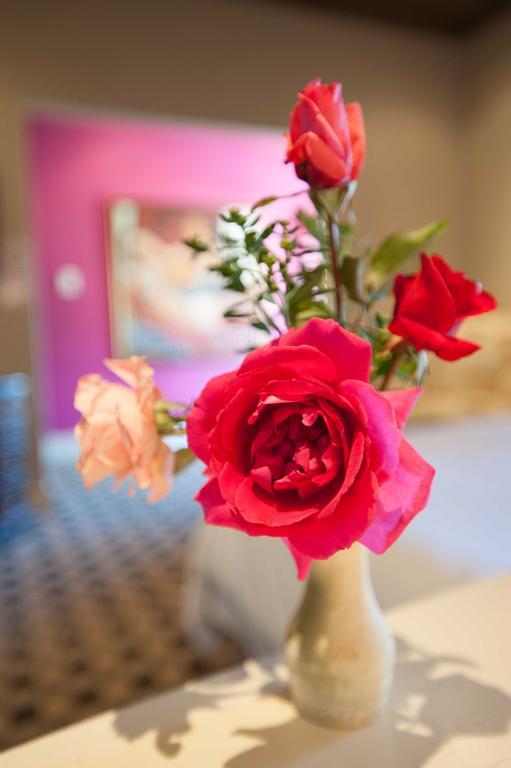 Karoo Art Hotel Barrydale Luaran gambar